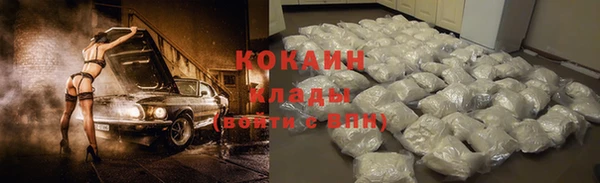 прущие крисы Елизово