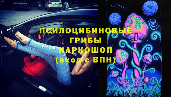 прущие крисы Елизово