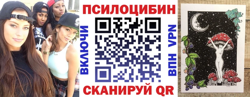Купить Сураж Галлюциногенные грибы Psilocybine cubensis